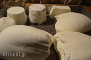 Anemi_best prices_in_Hotel_Epirus_Ioannina_Zitsa