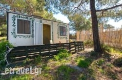 Forest Cottage in Agios Ioannis , Magnesia, Thessaly