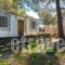 Forest Cottage_accommodation_in_Hotel_Dodekanessos Islands_Rhodes_Rhodes Rest Areas