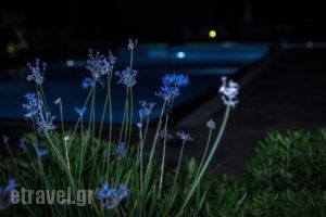 Lagada Bay Resort_holidays_in_Hotel_Crete_Lasithi_Ierapetra