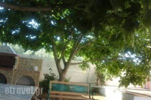 Paradise Studios_lowest prices_in_Hotel_Sporades Islands_Skopelos_Skopelos Chora