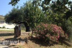 Nefeli’Studios in Pilio Area, Magnesia, Thessaly