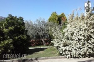 Vista Del Mare Luxury Villa_best deals_Villa_Aegean Islands_Thassos_Thassos Chora