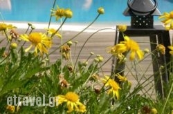 Alkyon Villas in Paros Chora, Paros, Cyclades Islands