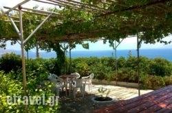 Thanasis Apartments in  Laganas, Zakinthos, Ionian Islands