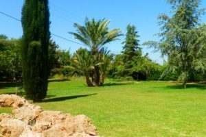 Trikalioti'S Estate_best prices_in_Hotel_Peloponesse_Ilia_Pyrgos