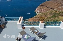 Golden Grey Goose in Thessaloniki City, Thessaloniki, Macedonia