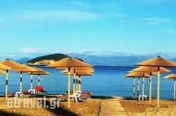 Villa Mediterrane in Galatas, Chania, Crete