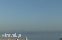 Avra in Delfi, Fokida, Central Greece