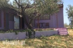 Alex’s Studio in Halkida, Evia, Central Greece