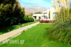 Plakiasites in Kefalochori, Ioannina, Epirus