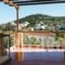 Holiday Home Vagia With Fireplace Vii_lowest prices_in_Hotel_Piraeus Islands - Trizonia_Aigina_Aigina Chora