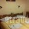 Studios Julia_holidays_in_Hotel_Aegean Islands_Lesvos_Petra