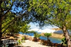 Volissos Holiday Homes Boutique Hotel in Zakinthos Chora, Zakinthos, Ionian Islands