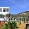 Faneromeni Apartments & Rooms_best deals_Room_Cyclades Islands_Sifnos_Sifnos Chora