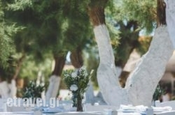 Beach House Antiparos in Agios Ninitas, Lefkada, Ionian Islands