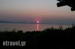 spitakia naxos in Piso Livadi, Paros, Cyclades Islands