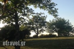 Apollonion Hotel in Lefkada Rest Areas, Lefkada, Ionian Islands