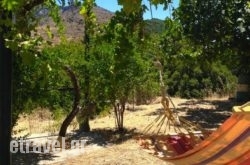 Temenia in Petra, Lesvos, Aegean Islands