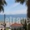 Aggeliko Studios_holidays_in_Hotel_Central Greece_Evia_Edipsos