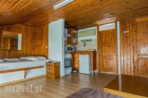 Athina Guesthouse_best prices_in_Hotel_Piraeus Islands - Trizonia_Hydra_Hydra Chora