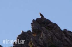 Zorbas Rooms in Tilos Chora, Tilos, Dodekanessos Islands