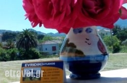 Studio Evridiki in Aigina Rest Areas, Aigina, Piraeus Islands - Trizonia