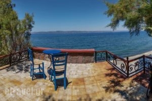 Eftalou Olive Grove_lowest prices_in_Hotel_Aegean Islands_Lesvos_Mythimna (Molyvos)