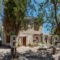Eftalou Olive Grove_holidays_in_Hotel_Aegean Islands_Lesvos_Mythimna (Molyvos)