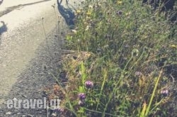 Drivas Apartments in Toroni, Halkidiki, Macedonia