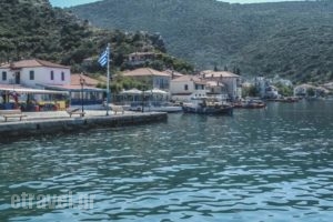 Drivas Apartments_best prices_in_Apartment_Central Greece_Evia_Istiea