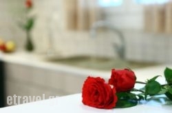 Aelia House – ELIA in Paros Chora, Paros, Cyclades Islands