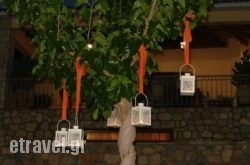 Pleiades in Kato Gatzea , Magnesia, Thessaly