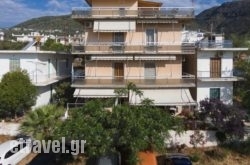Pension Vienna in Chania City, Chania, Crete