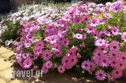 Cotes Des Oliviers in Kos Rest Areas, Kos, Dodekanessos Islands