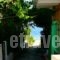 Lena Garnelli Apartments_accommodation_in_Apartment_Ionian Islands_Corfu_Kassiopi