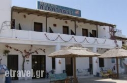 Albatross in Zakinthos Rest Areas, Zakinthos, Ionian Islands