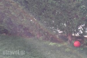 Suburban Deluxe Lodging & Retreat_lowest prices_in_Hotel_Central Greece_Attica_Amarousio (Marousi)