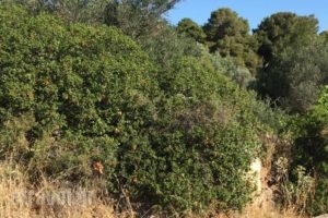 Suburban Deluxe Lodging & Retreat_travel_packages_in_Central Greece_Attica_Amarousio (Marousi)