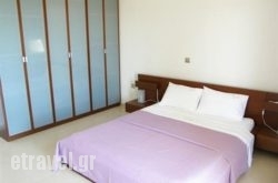 Sugar & Almond in Kefalonia Rest Areas, Kefalonia, Ionian Islands