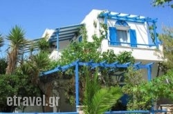 Sea View Studios & Apartments in Malia, Heraklion, Crete