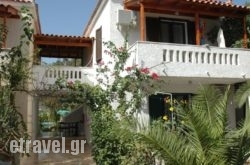 Albatross in Pilio Area, Magnesia, Thessaly