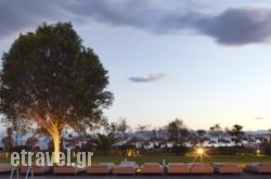 Skiathosincess in Karpathos Chora, Karpathos, Dodekanessos Islands