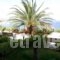 Villa Irini_accommodation_in_Villa_Crete_Chania_Almyrida