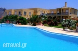 Anthemis in Morfovouni, Karditsa, Thessaly