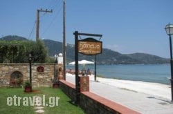 Kamelia in Plakias, Rethymnon, Crete