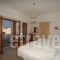 Pansion Marmaras_lowest prices_in_Room_Cyclades Islands_Mykonos_Psarou